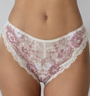 Millesia Embroidered Lace Bikini Panties XS Ivory Luxury Floral Sheer France NWT